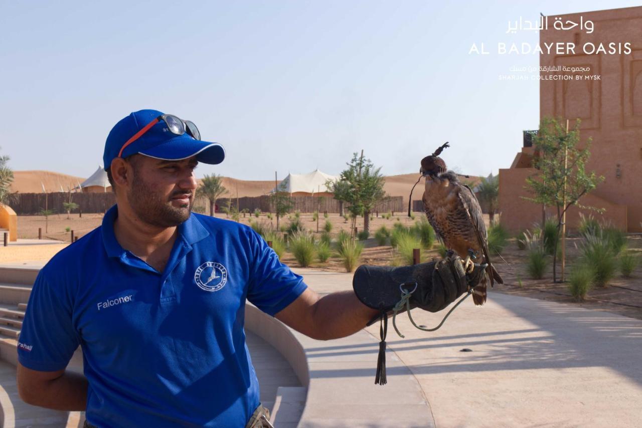 Al Badayer Retreat By Sharjah Collection 호텔 Margham 외부 사진 Falconry in Al-Jahili Fort, Al-Ahsa, Saudi Arabia